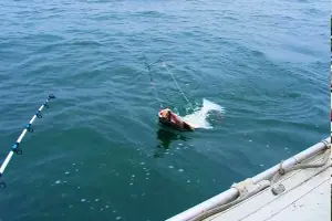 Рыбалка в море Рыбалка в море